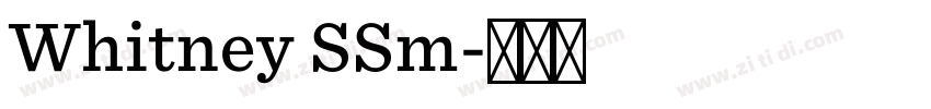 Whitney SSm字体转换